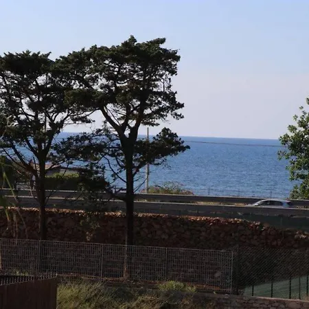 Villa Cavalluccio Marino Con Piscina Idromassaggio Carini