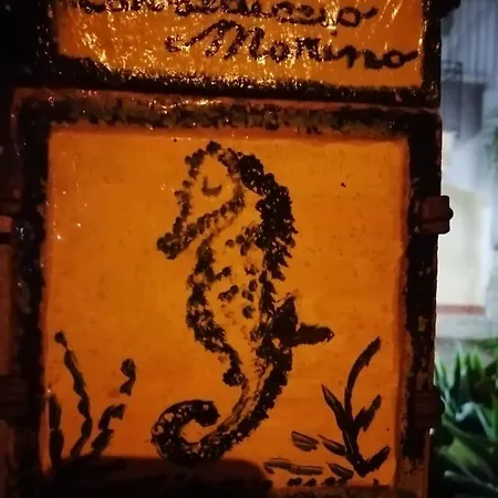 Cavalluccio Marino Con Piscina Idromassaggio * Carini