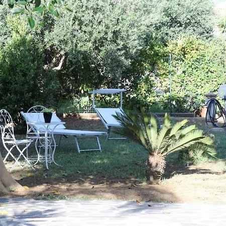 Cavalluccio Marino Con Piscina Idromassaggio *